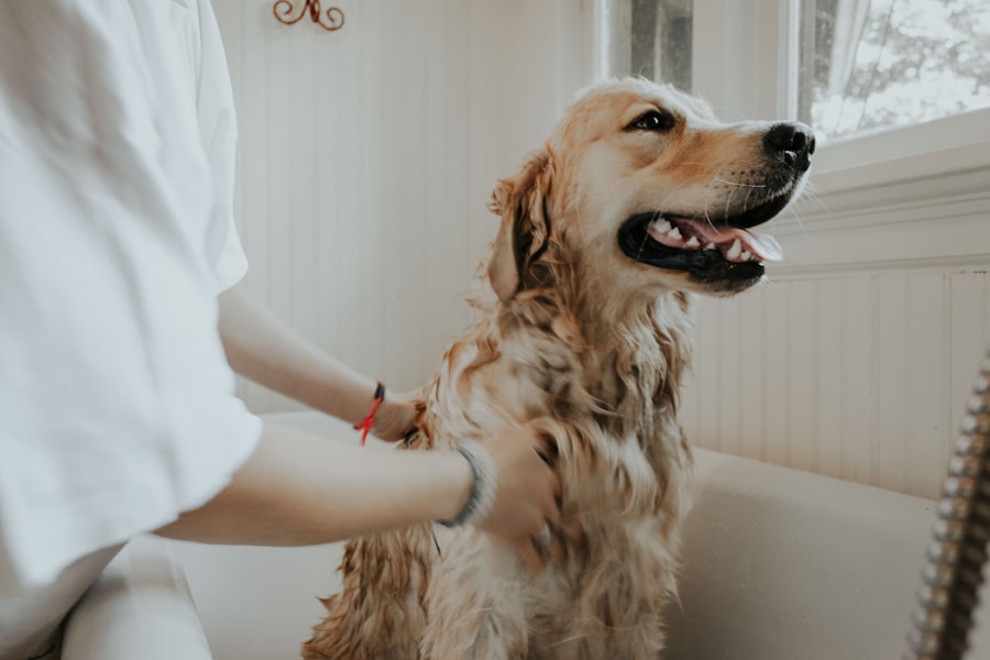 Happy dogs at Art 8 Vet
